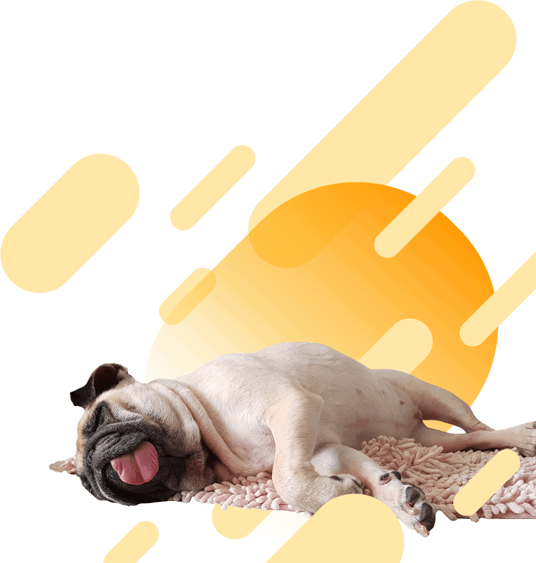 mobile-cute-sleeping-dog-brochure-campaign